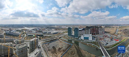 新春開新局 上海自貿區臨港新片區貿易建設熱潮涌動